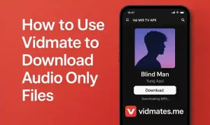 Can Vidmate Download Instagram Stories Automatically