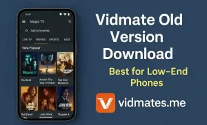 Vidmate Old Version Download – Best for Low-End Phones 