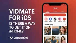 Vidmate for iOS – Is There a Way to Get It on iPhone 